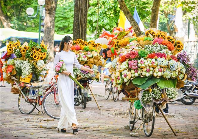 Thiếu nữ Hà Nội bên những xe hoa trên đường Phan Đình Phùng. Ảnh: Khánh Hoà - TTXVN
