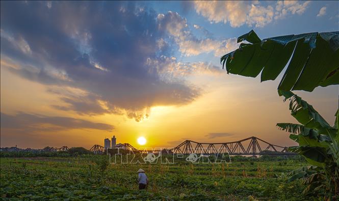 Chiều Thu bên cầu Long Biên. Ảnh: Phạm Tuấn Anh - TTXVN