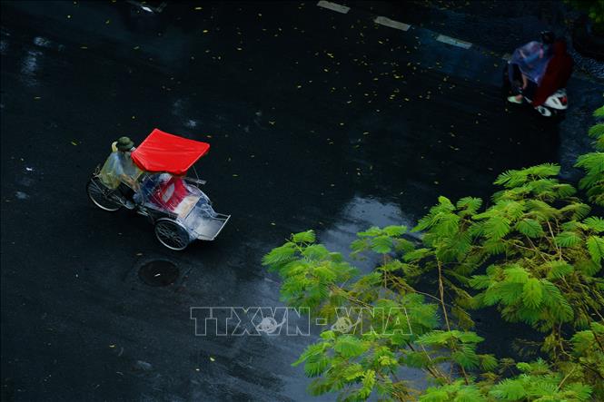 Mưa Thu không ồn ào, xối xả như mưa mùa Hạ, cũng không phải là kiểu mưa phùn, mưa bụi của mùa Xuân; cơn mưa mùa Thu đến bất chợt rồi đi cũng rất nhanh, trong lành, mát rượi. Ảnh: Phạm Tuấn Anh - TTXVN