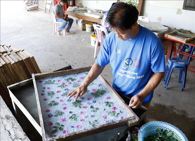 Nghệ nhân Nalongkone Khounphachansi, chủ cơ sở làm giấy Saa tại bản Xienglek, Luang Prabang trang trí hoa lá lên khuôn giấy. Ảnh: Phạm Kiên - Phóng viên TTXVN tại Lào