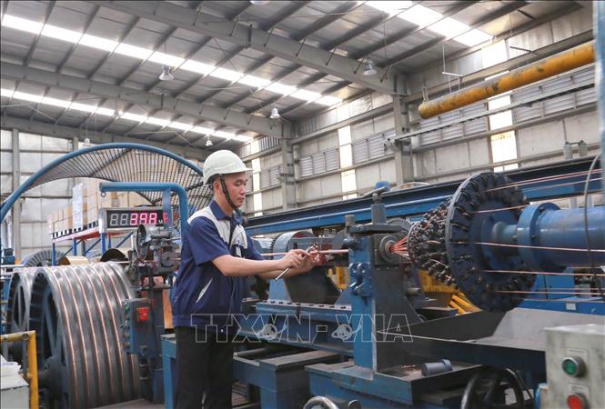 Kỹ sư Nguyễn Văn Tuân kiểm tra thông số lõi bện cáp điện. Ảnh: Minh Thu- TTXVN