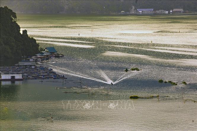 Khung cảnh bình yên trong buổi chiều thu nắng vàng lấp lánh trên mặt hồ. Ảnh: Trọng Đạt-TTXVN