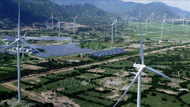 Tỉnh Ninh Thuận được coi là thủ phủ của NLTT. Ảnh: Huy Hùng-TTXVN