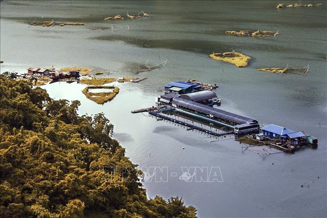 The model of cage fish farming associated with homestay services on Hoa Binh Lake. VNA Photo: Trọng Đạt