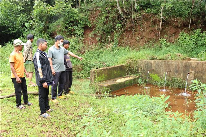 Người dân làng O Gia, xã Ia Pếch, huyện Ia Grai (Gia Lai) bức xúc vì nước thải của 3 trang trại nuôi heo trên địa bàn xả thải trực tiếp gây ô nhiễm nguồn nước, ảnh hưởng đến sức khỏe và đời sống của người dân. Ảnh: Hồng Điệp - TTXVN