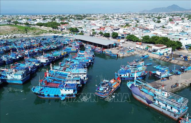 Cảng cá Mỹ Tân (xã Thanh Hải, huyện Ninh Hải) được đầu tư đồng bộ đáp ứng yêu cầu phát triển kinh tế biển của địa phương. Ảnh: Nguyễn Thành - TTXVN