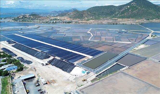 Huyện Ninh Hải phát huy lợi thế vùng sản xuất muối lớn nhất của tỉnh Ninh Thuận với diện tích trên 650ha. Ảnh: Nguyễn Thành – TTXVN