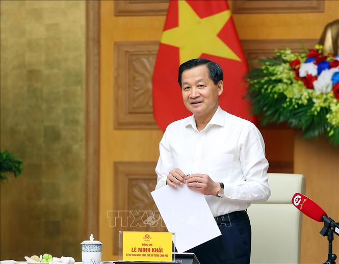 Deputy Prime Minister Le Minh Khai speaks at the meeting. VNA Photo: An Đăng