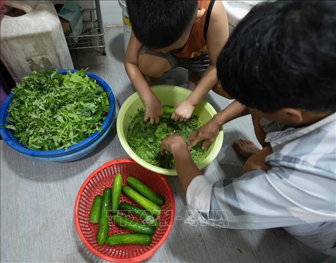 Nước sạch được gia đình anh Nguyễn Văn Quyền (tòa HH2E) tiết kiệm và tận dụng tối đa khi sử dụng. Ảnh: Hoàng Hiếu - TTXVN