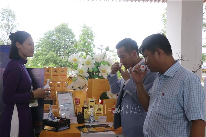 Gian hàng trưng bày tại Hội thảo khoa học. Ảnh: Mai Trang - TTXVN