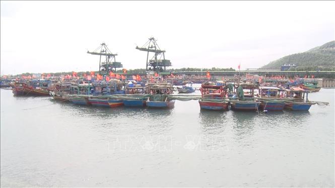 Khu neo đậu tàu thuyền của ngư dân xã Hải Hà. Ảnh: TTXVN phát