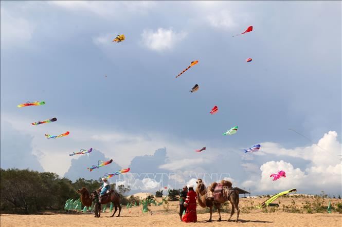 Ten professional kite teams with 1,000 kites compete on the opening day of the festival. VNA Photo: Nguyễn Thanh