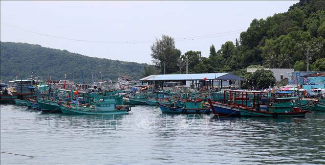 Tàu cá neo đậu khu vực Cảng cá An Thới, thành phố Phú Quốc (Kiên Giang). Ảnh: Lê Huy Hải - TTXVN