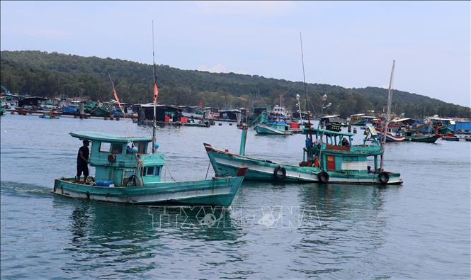 Tàu cá công suất nhỏ neo đậu khu vực Cảng cá An Thới, thành phố Phú Quốc (Kiên Giang). Ảnh: Lê Huy Hải - TTXVN