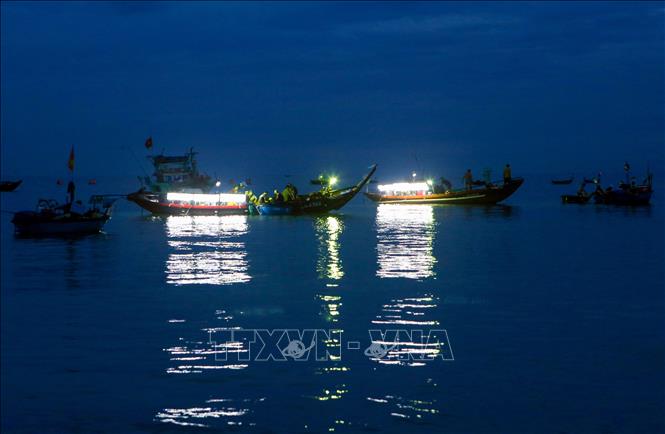 Những chiếc thuyền đi đánh bắt chiều hôm trước trở về vào buổi sớm hôm sau để bán hải sản tươi sống. Ảnh: Trần Lê Lâm – TTXVN 
