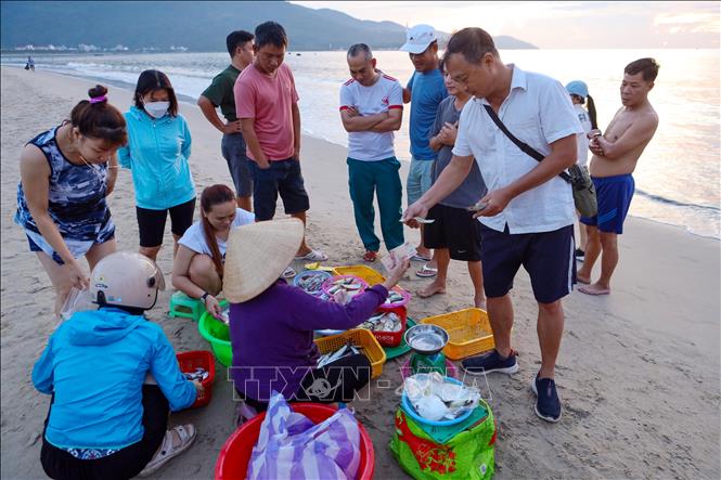 Locals pass by the markets for the freshest seafood. VNA Photo: Trần Lê Lâm