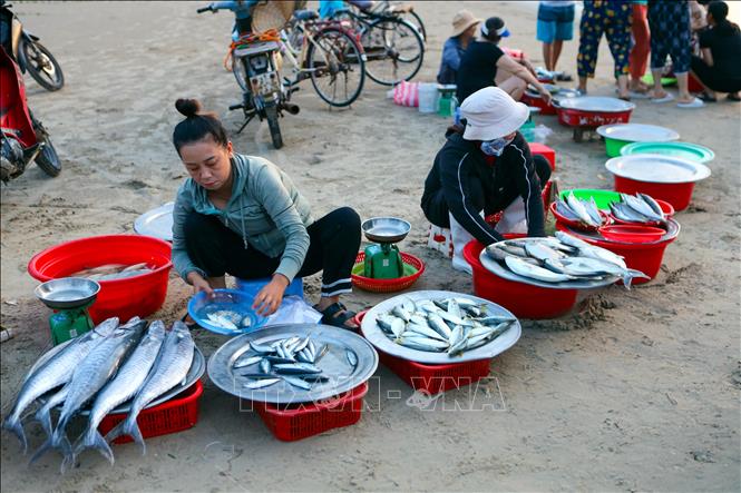 The market offers various types of fresh fishes, cuttlefish and other seafood. VNA Photo: Trần Lê Lâm