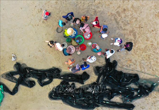 The market offers various types of fresh fishes, cuttlefish and other seafood. VNA Photo: Trần Lê Lâm