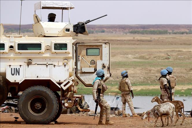 Lực lượng MINUSMA tuần tra tại Gao, Mali. Ảnh: AFP/TTXVN