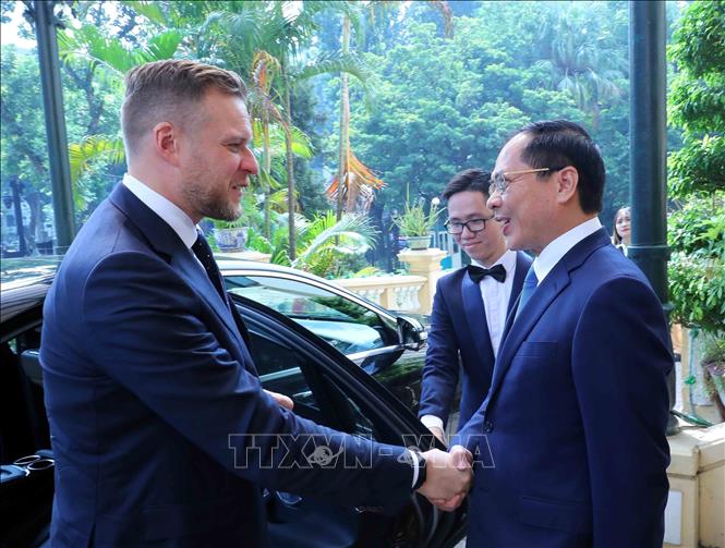 FM Bui Thanh Son welcomes his Lithuanian counterpart Gabrielius Landsbergis. VNA Photo: An Đăng