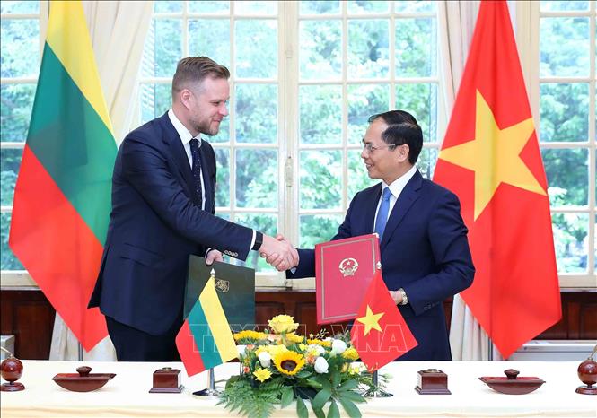 FM Bui Thanh Son and his Lithuanian counterpart Gabrielius Landsbergis sign the cooperation agreement. VNA Photo: An Đăng