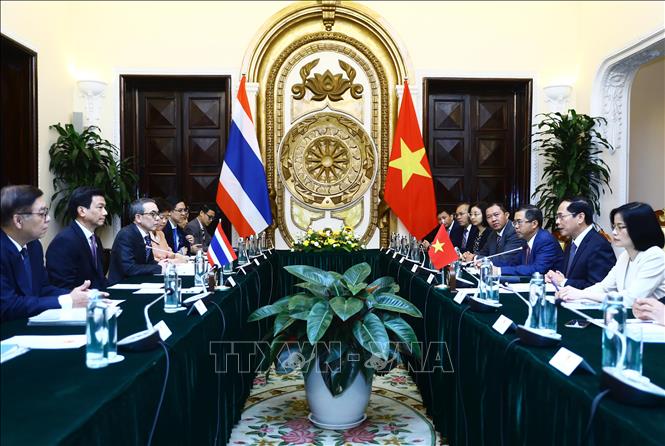 FM Bui Thanh Son holds talks with Thai Deputy PM and FM Parnpree Bahiddha-Nukara. VNA Photo: Lâm Khánh 