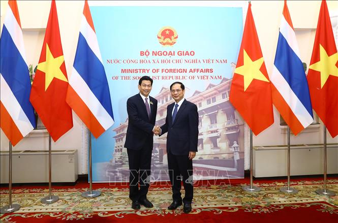 FM Bui Thanh Son welcomes Thai Deputy PM and FM Parnpree Bahiddha-Nukara. VNA Photo: Lâm Khánh 