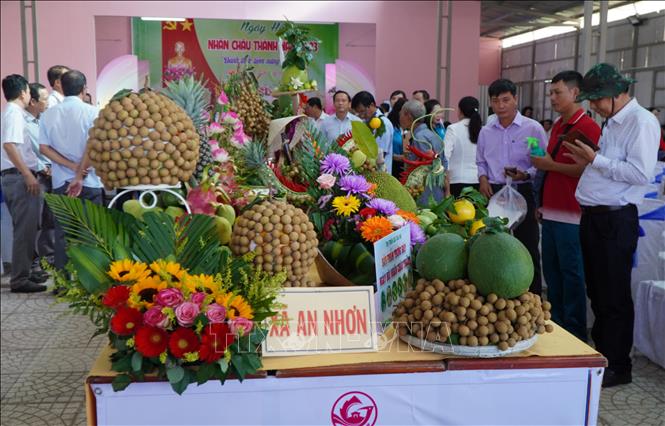 Nhãn Châu Thành trưng bày tại ngày hội. Ảnh: Nhựt An - TTXVN