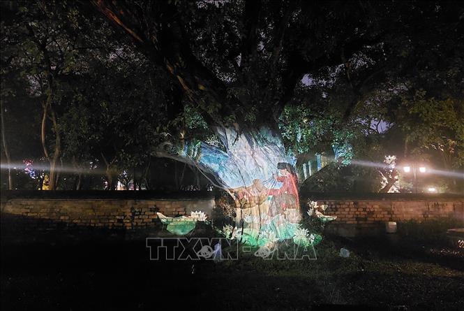 Trình chiếu 3D Mapping trên gốc cây đa di sản. Ảnh: Đinh Thuận - TTXVN