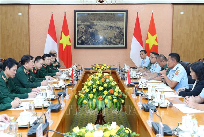Quang cảnh phiên đối thoại Chính sách Quốc phòng Việt Nam - Indonesia lần thứ 3. Ảnh: An Đăng - TTXVN