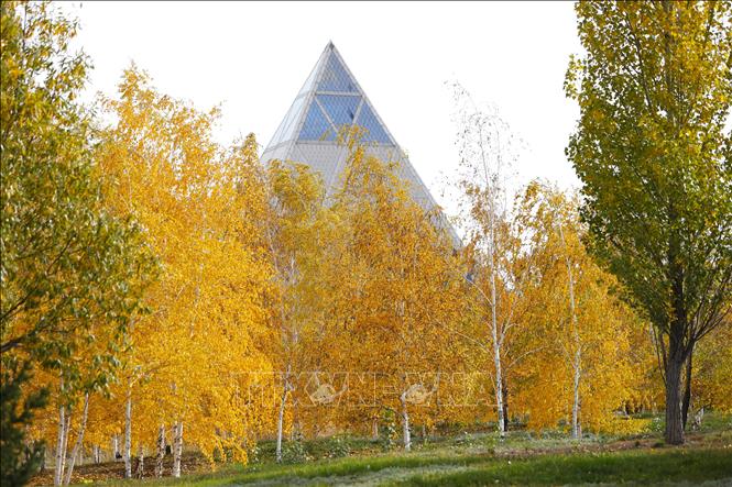 Lá nhuộm sắc vàng trong thời tiết Thu tại Astana, Kazakhstan. Ảnh: THX/TTXVN