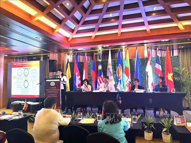 Deputy State Auditor General Ha Thi My Dung presents a plan of action for 2024-2025 period at the summit. Photo by courtesy/VNA