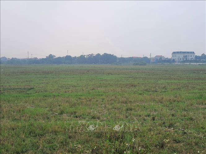 Trong ảnh: Những cánh đồng chuyên canh tác lúa và các loại rau màu ở hai bên QL 2, đoạn tránh thành phố Vĩnh Yên, hiện bị bỏ hoang trên diện rộng. Ảnh: Nguyễn Trọng Lịch- TTXVN 

