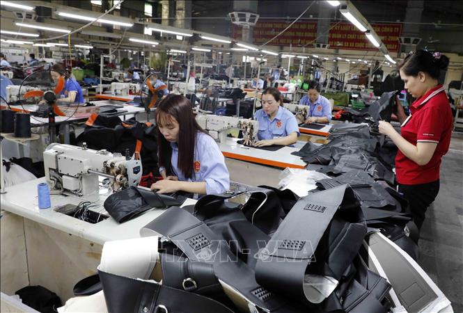 Dây chuyền may túi da tại Công ty. Ảnh: Trần Việt - TTXVN