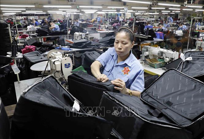 Công nhân may túi da tại Công ty. Ảnh: Trần Việt - TTXVN
