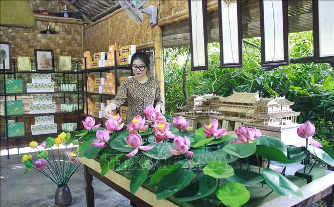 Các sản phẩm từ sen được trưng bày tại Công ty Cổ phần sản xuất, xuất nhập khẩu và thương mại dịch vụ Hali (Ninh Bình). Ảnh: Thùy Dung - TTXVN