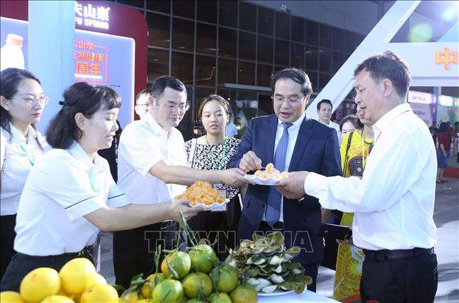 Đại biểu tham quan các gian hàng tại hội chợ. Ảnh: Quốc Khánh - TTXVN
