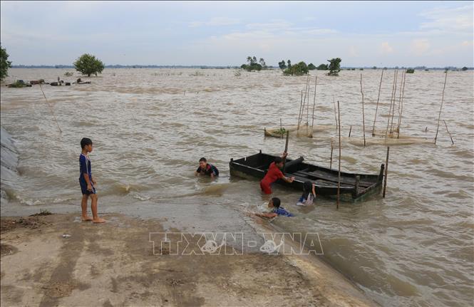 Một nhóm trẻ tắm, bơi lội trên cánh đồng ngập nước thuộc xã Thường Thới Hậu A, huyện Hồng Ngự, Đồng Tháp. Ảnh: Nhựt An - TTXVN