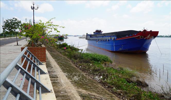 Sà lan trọng tải lớn neo đậu tại bờ kè Thường Thới Tiền (Hồng Ngự, Đồng Tháp). Ảnh: Nhựt An - TTXVN