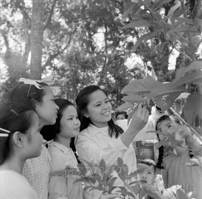 Nữ Giáo sư trường Trung học Trưng Vương giảng cho học sinh nghe về thảo vật học (1956). Ảnh: TTXVN