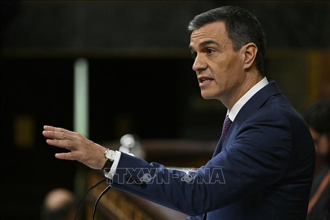 Tây Ban Nha: Thủ tướng Pedro Sanchez tái đắc cử - Ảnh thời sự quốc tế - Chính trị-Quân sự - Thông tấn xã Việt Nam (TTXVN)