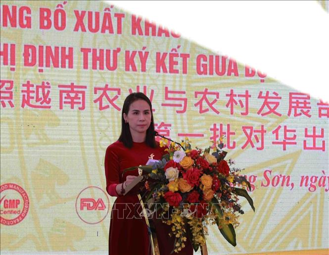 Export of first Vietnamese bird’s nests to China announced VNA Photos Vietnam News Agency (VNA)