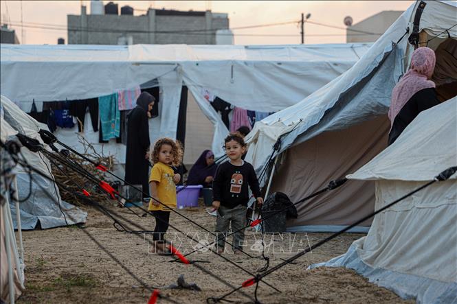 Giám đốc Chương trình Cứu trợ Liên hợp quốc dành cho người tị nạn Palestine (UNRWA) Philippe Lazzarini ngày 16/11/2023 cho biết cơ quan của ông, nơi hỗ trợ hơn 800.000 người sơ tán ở Dải Gaza, có nguy cơ buộc phải đình chỉ hoàn toàn hoạt động vì thiếu nhiên liệu. Trong ảnh: Trẻ em trại tị nạn của UNRWA tại thành phố Khan Younis, Dải Gaza ngày 1/11/2023. Ảnh: THX/TTXVN