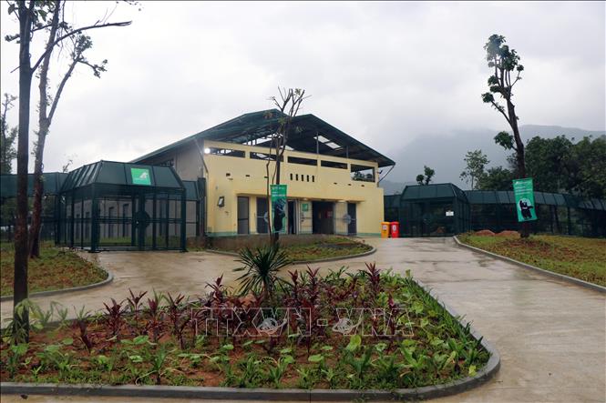 Khánh thành giai đoạn 1 Trung tâm cứu hộ gấu Việt Nam tại Vườn quốc gia ...