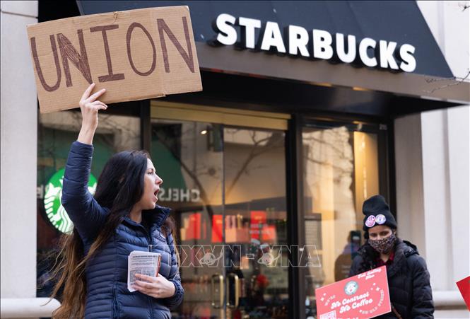Nhân viên cửa hàng cà phê Starbucks tham gia đình công tại Arlington, Virginia, Mỹ, ngày 16/11/2023. Ảnh: AFP/TTXVN