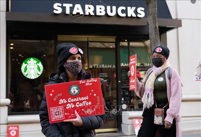 Nhân viên cửa hàng cà phê Starbucks tham gia đình công tại Arlington, Virginia, Mỹ, ngày 16/11/2023. Ảnh: AFP/TTXVN