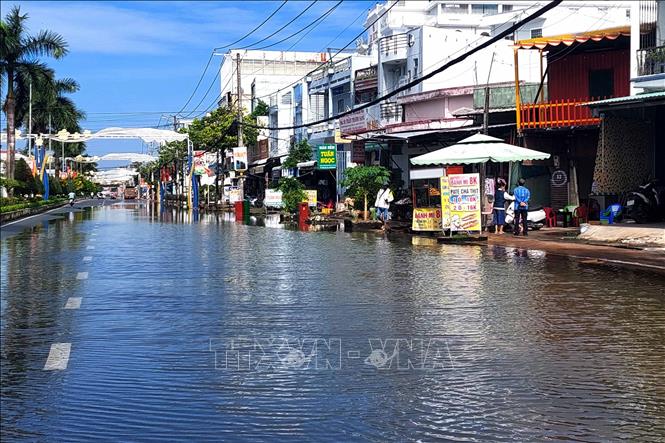 Đường phố Cà Mau bị ngập do ảnh hưởng của đợt thủy triều dâng cao xuất hiện trong tháng 11 năm 2023.. Ảnh: Kim Há-TTXVN