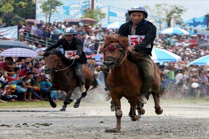 Lễ hội đua ngựa Bắc Hà (huyện Bắc Hà, tỉnh Lào Cai) là một trong 10 Dsi sản văn hóa phi vật thể được đưa vào danh mục Di sản văn hóa phi vật thể quốc gia năm 2021. Ảnh: Quốc Khánh - TTXVN 
