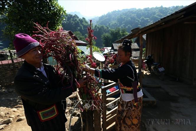 Năm 2019, Lễ Mền Loóng Phạt Ái (Tết Hoa mào gà) của cộng đồng dân tộc Cống và Lễ Gạ Ma Thú (Cúng bản) của cộng đồng dân tộc người Hà Nhì tại Điện Biên được công nhận Di sản văn hóa phi vật thể quốc gia. Ảnh: Phan Tuấn Anh – TTXVN