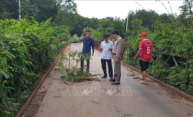 Đại diện chính quyền địa phương kiểm tra, tìm phương án sửa chữa cầu Long. Ảnh: Đậu Tất Thành – TTXVN

